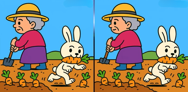 puzzle puzzle