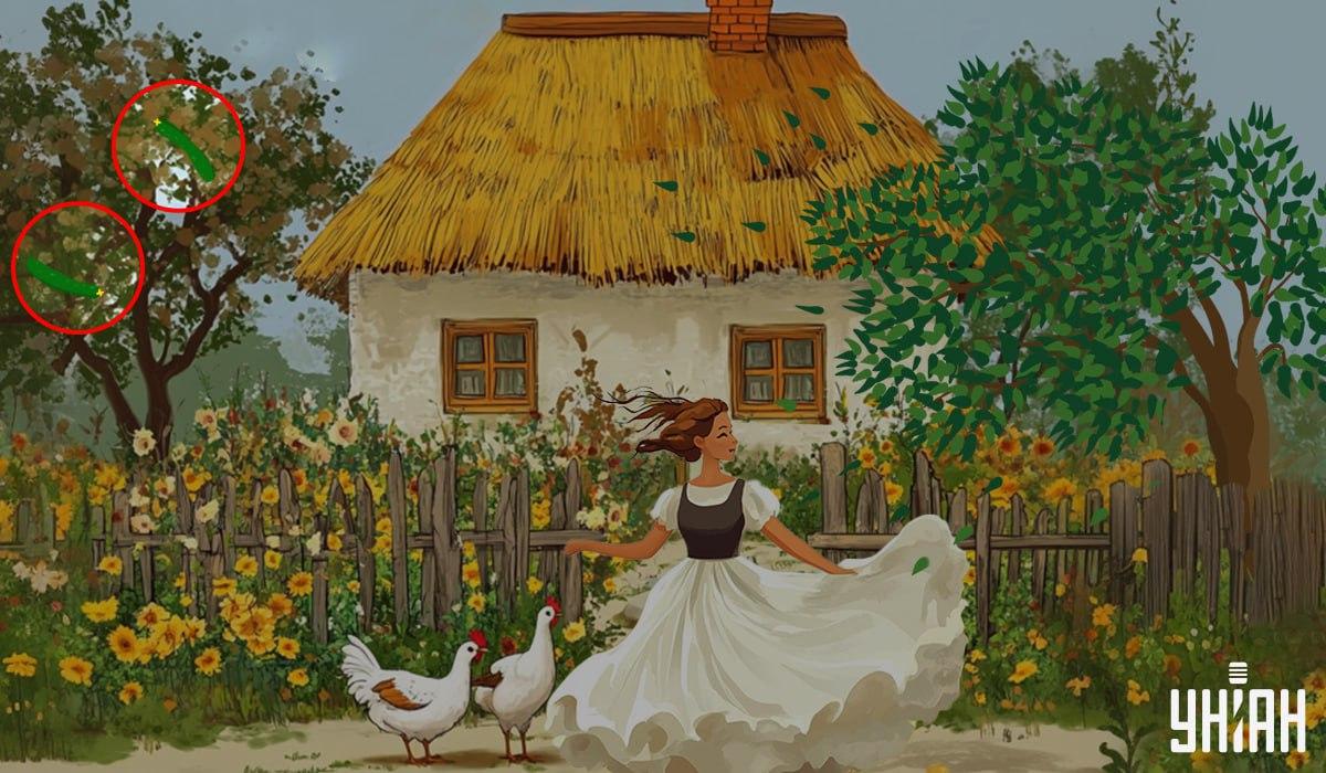 odpowiedź / Moje fot.