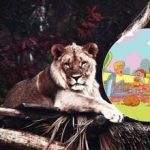 Jest to zadanie, które mogą wykonać tylko nieliczni: musisz znaleźć lwa w parku w ciągu 6 sekund Jest to zadanie, które mogą wykonać tylko nieliczni: musisz znaleźć