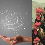 Prosty test IQ: znajdź kurczaka wśród kogutów w 7 sekund Prosty test IQ: znajdź kurczaka wśród kogutów w 7 sekund