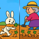 Super puzzle: znajdź 3 różnice na obrazku z babcią w