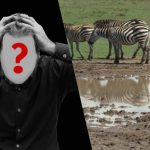 Szybki test IQ: znajdź psa na polu w 6 sekund