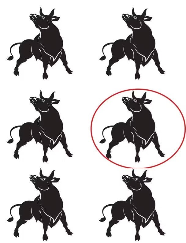 Ciekawa łamigłówka uwagi - rozwiązanie