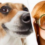 Tylko prawdziwy tytan IQ zobaczy psa na śniegu w 10