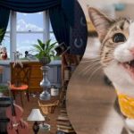 Zagadka dla najbardziej uważnych: musisz znaleźć 2 koty na zagmatwanym obrazku. Zagadka dla najbardziej uważnych: musisz znaleźć 2 koty na zagmatwanym