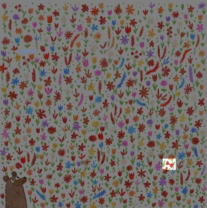 Niedźwiedź, zagadka