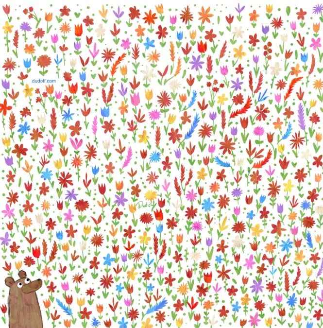 Niedźwiedź, puzzle