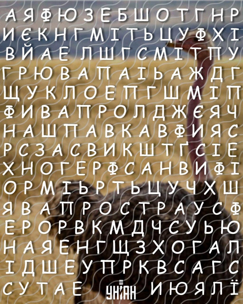 Tylko ludzie z wysokim IQ mogą znaleźć słowo Tylko ludzie z wysokim IQ mogą znaleźć słowo