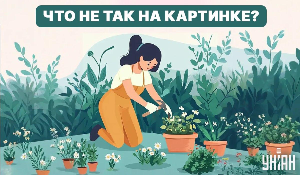 Spróbuj znaleźć błąd / Kolaż - Moje