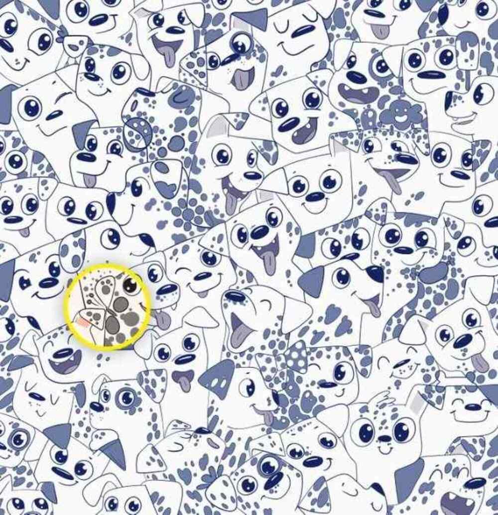 Motyl był po prawej stronie / Rysunek Brightside