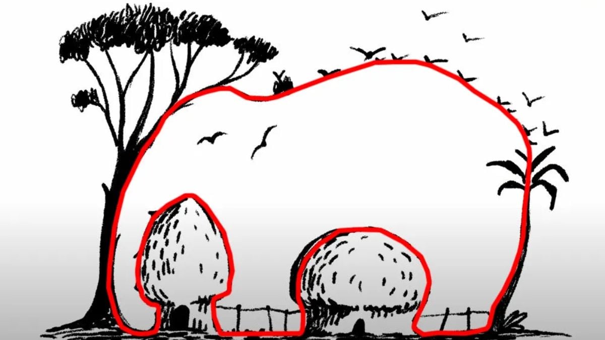 Rozwiązanie iluzji optycznej