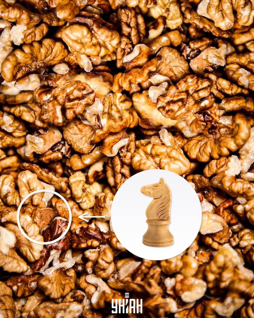 Odpowiedź / fot. Moje