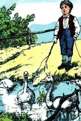 Czy widzisz piątą gęś na zdjęciu? 