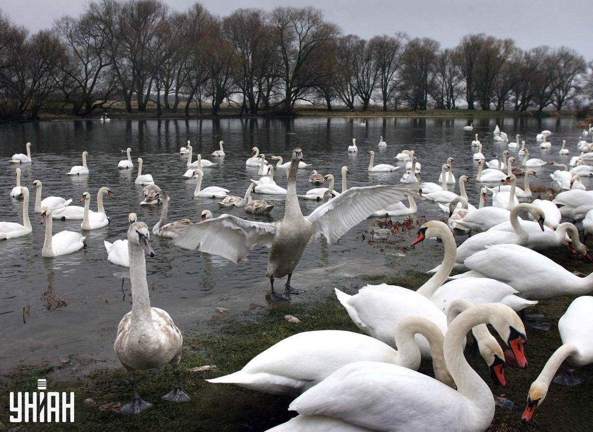 Może znajdować się w dowolnej części obrazu / Moje Collage