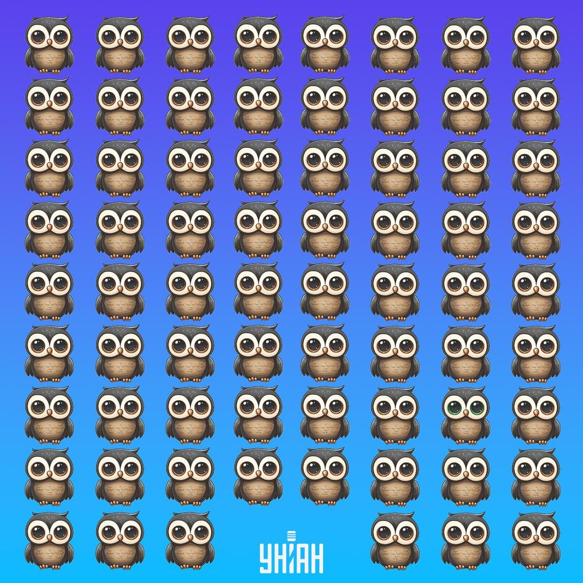 Znajdź rzadkiego ptaka w czasie / kolaż Moje