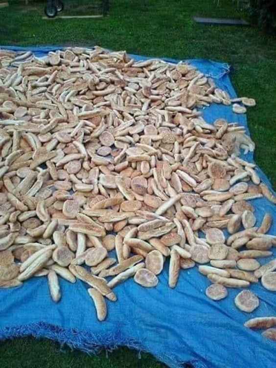 Złudzenie optyczne dla osób z orlim wzrokiem: tylko geniusze znajdują kota w 5 sekund