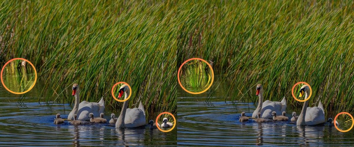 Aby poradzić sobie z łamigłówką, trzeba było zwrócić uwagę na drobne szczegóły / collage Moje