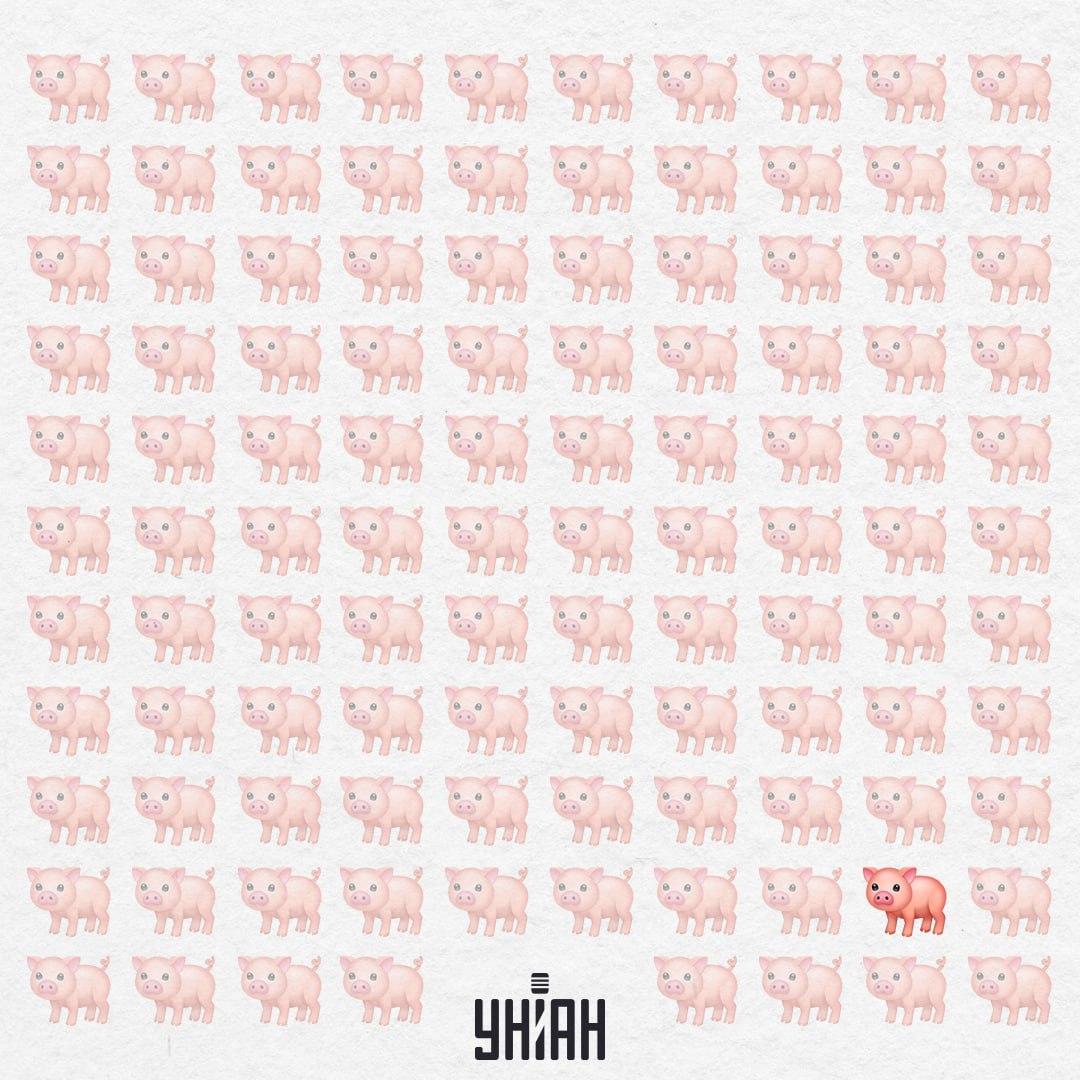 Ta świnka jest naprawdę dziwna, nie ma różowego ogonka / Collage Moje