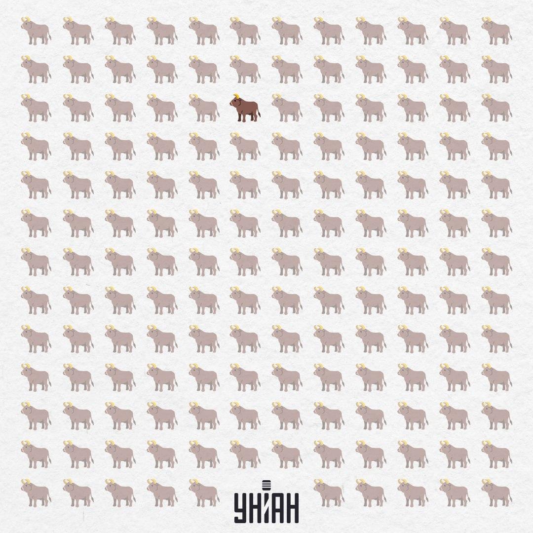 Ukrywał się w centrum, prawie od góry / Moje Collage