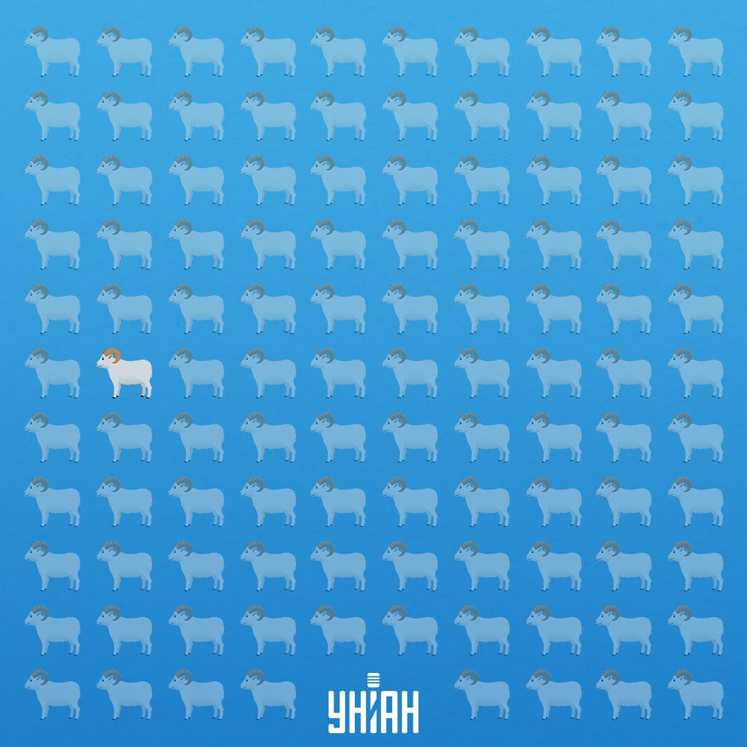 Był w siódmym rzędzie po lewej stronie / Collage Moje