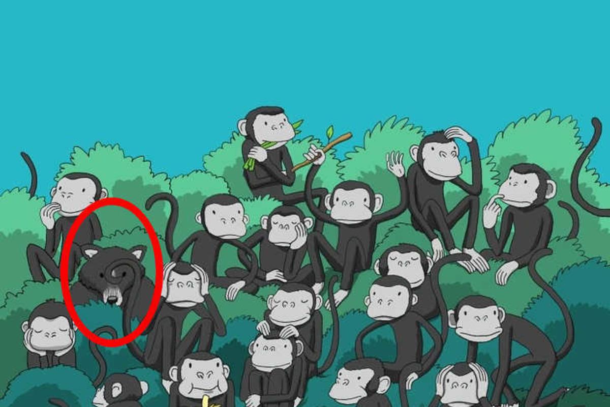 Spróbuj rozwiązać zagadkę w kilka sekund / Rysunek Jasna Strona