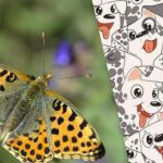 Sprytny jak Sherlock czy nie: łamigłówka testująca IQ