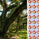 Tylko 2 procent geniuszy znajdzie słowo "drzewo" w 10 sekund: niesamowita gra logiczna Tylko 2 procent geniuszy znajdzie słowo „drzewo” w 10 sekund: