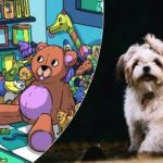 Tylko nieliczni potrafią to zrobić: tylko prawdziwy detektyw może znaleźć szczeniaka w 13 sekund. Tylko nieliczni potrafią to zrobić: tylko prawdziwy detektyw może znaleźć