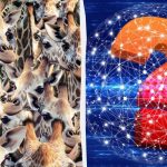 Wszyscy widzą żyrafy, ale ty musisz znaleźć nieokiełznaną kozę w