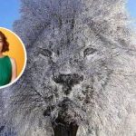 „Zamknięta” czy „towarzyska” osoba: co złudzenie optyczne może o tobie